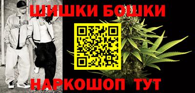 сатива Сланцы